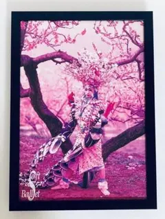 Item thumbnail for item 4862eb9d-7a1b-4e3d-a202-779db897b22f