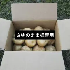 さゆのまま様専用