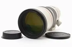 キャノン　Canon EF 300mm F4 L USM 888のサムネイル