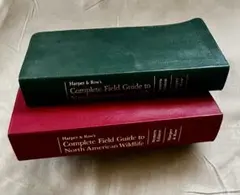 Item thumbnail for item 55fbaee9-4bef-4bad-8dd6-de13ffa1006f