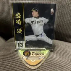 Item thumbnail for item 6d1ae022-9fbe-4f9c-8952-6e09f9ed5d1d