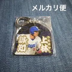 Item thumbnail for item ffedab1e-5f64-46df-9703-356200566e2b