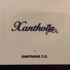 ザンザスティーシー