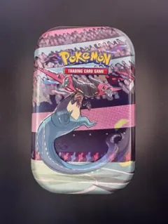 ポケモン 海外版ダメカンケース