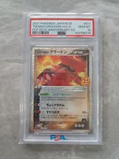マグマ団のグラードン プロモカードパック 25th ANNIVERSARY e… - メルカリ