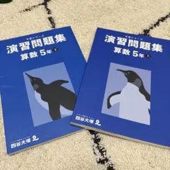 四谷大塚　予習シリーズ　演習問題集 算数 5年 上、下セット