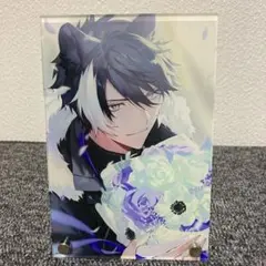 影山シエン 誕生日記念2022 ホロスターズ ポストカード - メルカリ