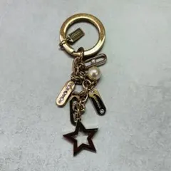 正規品】COACH シルバースワッガーチェーン・チャー ム - メルカリ