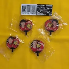 バレーボール日本代表 アクリルチャーム3個セット