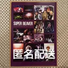 SUPER BEAVER　特典5点セット　(メガジャケ、クリアファイル) 2025年最新】スーパービーバークリアファイルの人気アイテム