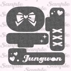 ジョンウォン ⑦┊︎ENHYPEN ペンライト ステッカー 反射