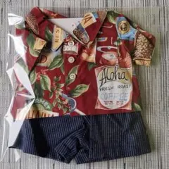 Item thumbnail for item 68239912-d5cb-4053-a4cc-f3f122acb801