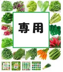 K.Adachi様専用　辣天下10粒　羊角椒10粒