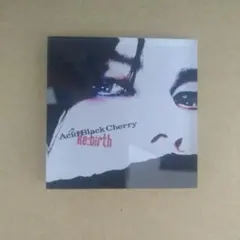 Re:birth アクリルマグネット Acid Black Cherry