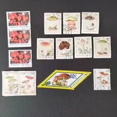 Item thumbnail for item acbe6465-3ebc-4d39-adef-37e1635a8a84