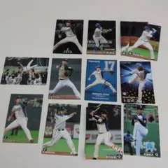 Calbee☆プロ野球チップスカード☆北海道日本ハムファイターズ選手カードセット
