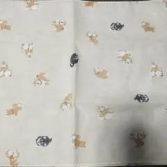 Item thumbnail for item 3383d2a4-19b8-4403-a302-0144e7855109