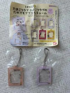 たまひよ だれでもアクリルチャーム 2種セット