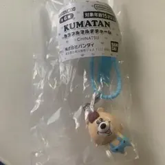 新品未使用　クマタンカラフルマルチチャーム　KUMATAN 青色