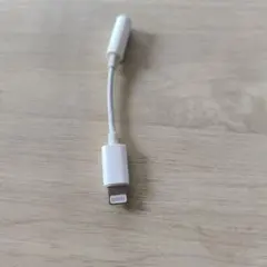 Apple純正Lightning - 3.5 m　A1749