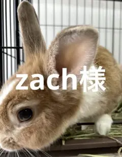 2333 専用