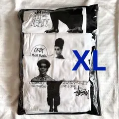 ★激レア新品★OLD STUSSY 『ARCHIVES』20周年記念限定Ｔシャツ