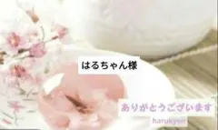 はるちゃん様　消しゴムはんこ