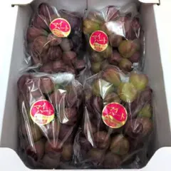 岡山県産ぶどうマイハート 4房 - メルカリ