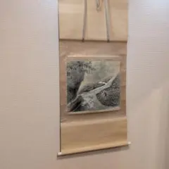 2025年最新】掛軸の人気アイテム - メルカリ