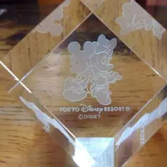 ディズニー3Dクリスタル置物