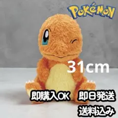 ポケモン ヒトカゲ ぬいぐるみ 約31cm