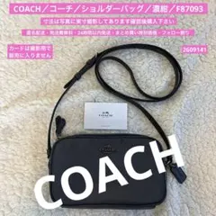 2026年最新】COACH 6091の人気アイテム - メルカリ