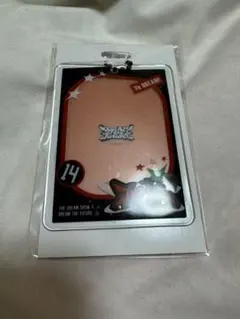 アクリルキーホルダーケース チソン