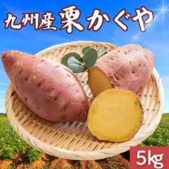 【九州産】栗かぐや 5kg さつまいも 訳あり さつま芋 311