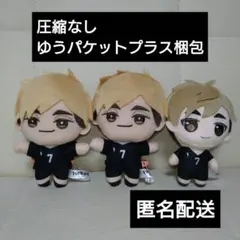 ハイキュー みにコレ ぬいぐるみマスコット5 ぷちっしゅ 宮侑 稲荷崎