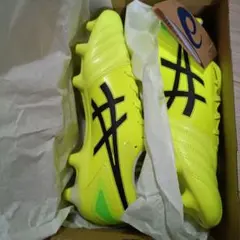 ASICS DS LIGHT ADVANCE WIDE 蛍光イエロー 10