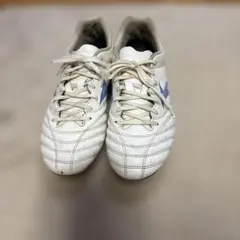 Item thumbnail for item 094a5808-1058-4011-afff-81db4773aa51