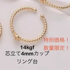 特別価格NO.R3★14kgf芯立て4mmカップリング台