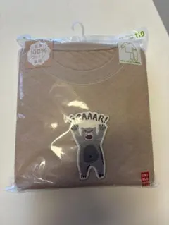 Item thumbnail for item c8da34de-9773-4955-b33b-ffb33e5be3d7