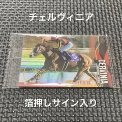サラブレッドホース　コレクション　ウエハース チェルヴィニア　箔押しサイン