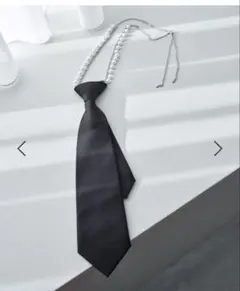 sorin 7 3 5 1 S MotifJewelrySilkNecktie - メルカリ