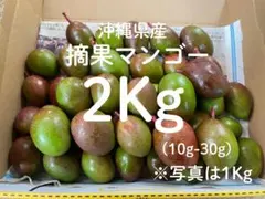 2026年最新】摘果マンゴーの人気アイテム - メルカリ