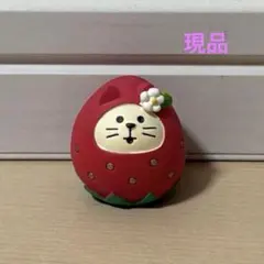 デコレ コンコンブル フルーツ猫だるま　いちご　現品