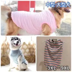 犬服 ペット服 中型犬 大型犬 春夏秋 ボーダータンクトップ桃×白色:3XL