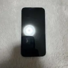 Apple iPhone 13 Pro シエラブルー　256GB