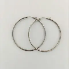 大きめ フープピアス ステンレスのサムネイル