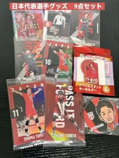 男子バレーボール　日本代表選手グッズ9点セットのサムネイル