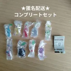 ピクミン　めじるしアクセサリー２コンプリートセット