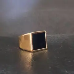 ゴールドリング オニキス シグネチャー 鏡面 男女兼用 メキシカン アメカジ 1