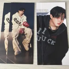 Stray Kids スキズ karma チャンビン　プレイヤーチケット